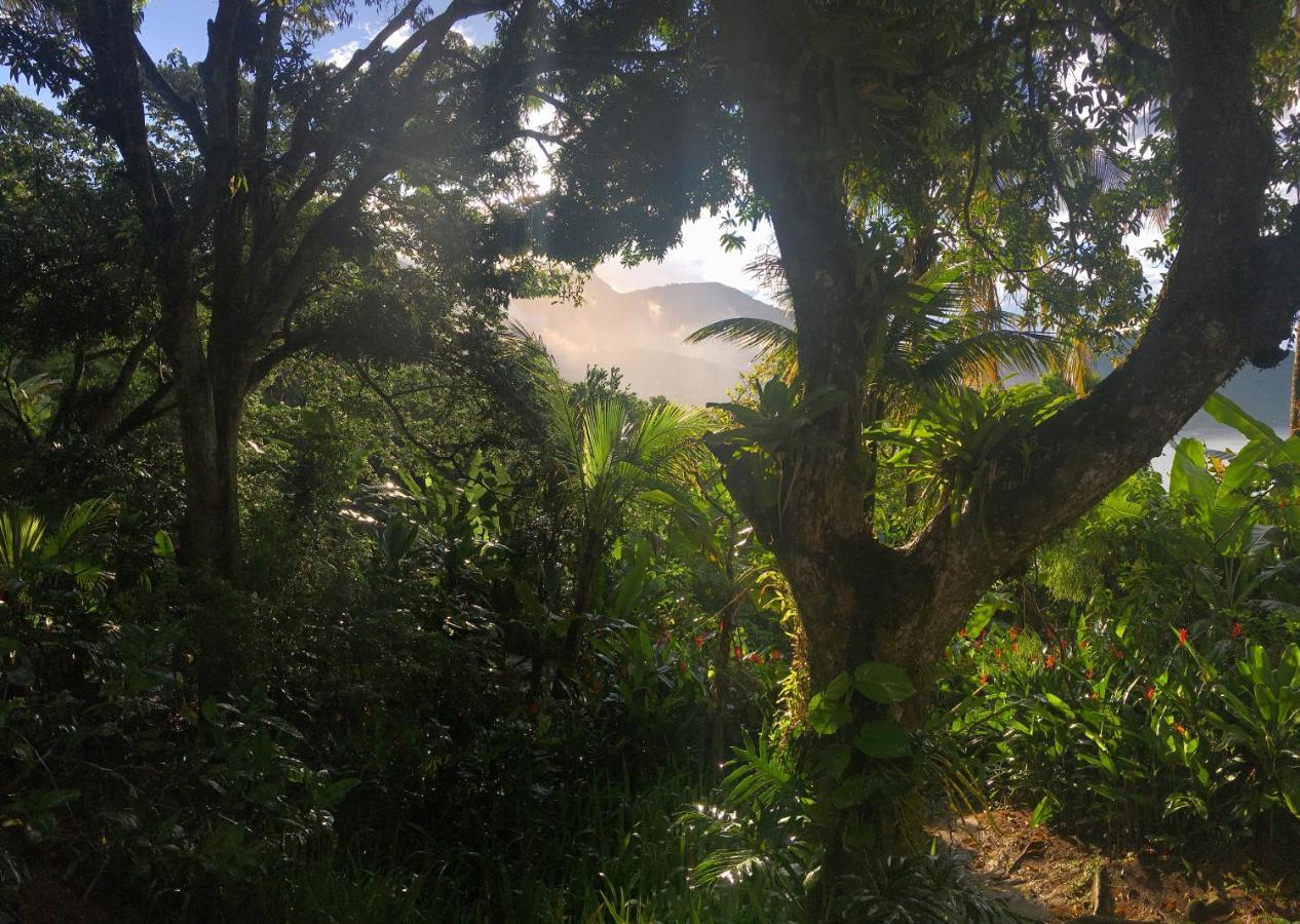 Jungle Lodge Abraão Zewnętrze zdjęcie