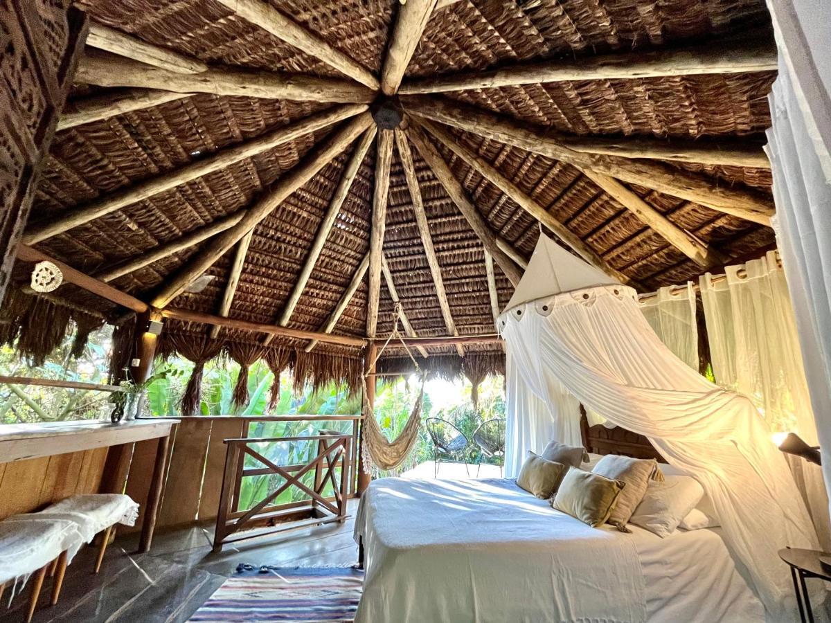 Jungle Lodge Abraão Zewnętrze zdjęcie