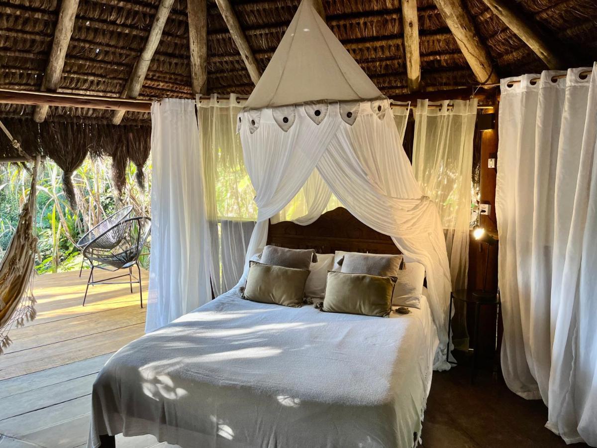 Jungle Lodge Abraão Zewnętrze zdjęcie