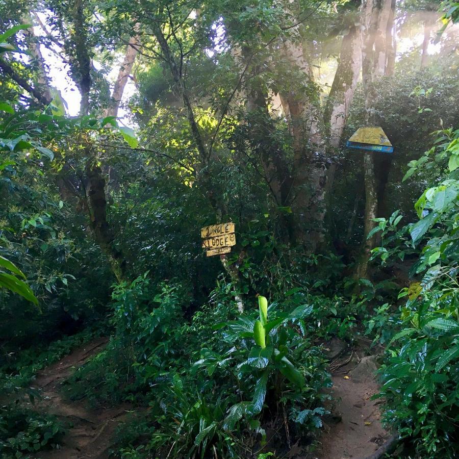 Jungle Lodge Abraão Zewnętrze zdjęcie